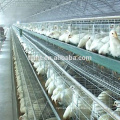 Cage de poulet de chair (ISO9001) pour la ferme avicole